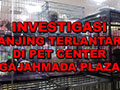 INVESTIGASI ANJING TERLANTAR DI GAJAHMADA PLAZA