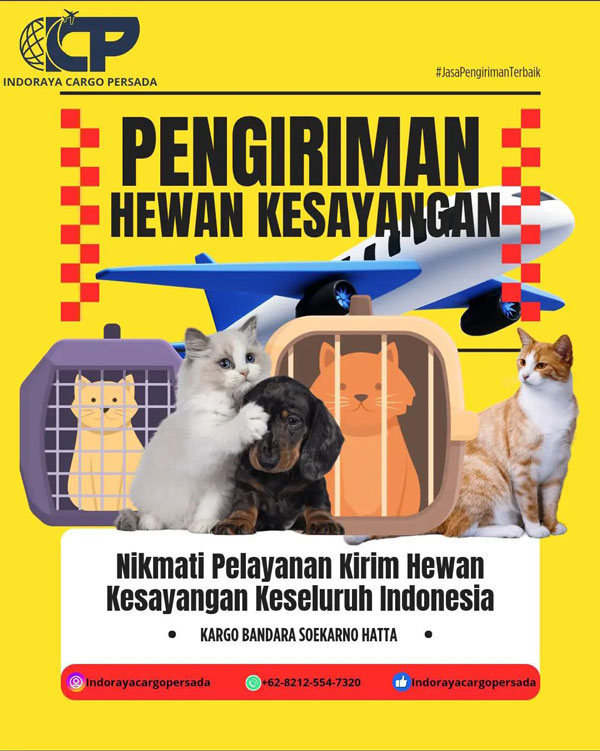 Jasa Pengiriman Anjing & Kucing Via Pesawat Udara