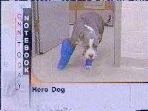 APBT, Their Unsung Stories