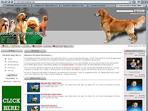 FourtyOneKennel.Com
