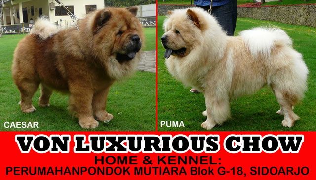 Von Luxurious Chow