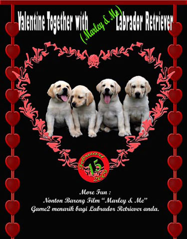 Valentine Together With Labrador Retriever 