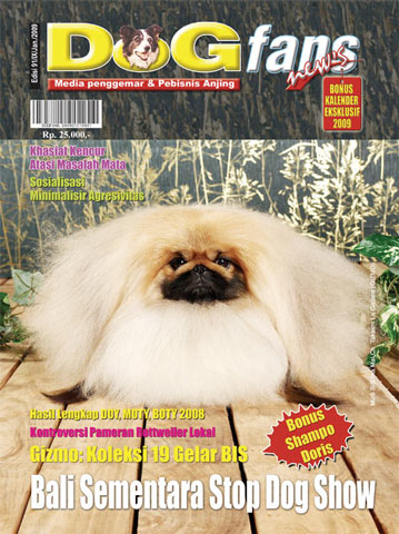 DOGfans News Edisi 91/Januari 2009
