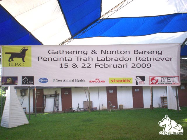 Liputan Valentine Bareng Labrador Retriever