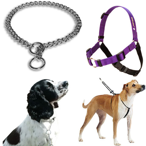 Pakai Choke Chain Atau Harness ??
