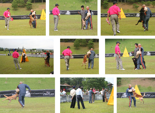 Liputan Kejuaraan Nasional PERKIN AKG 2009 & Ujian IPO 1