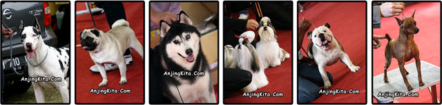 Liputan Pameran Perkin Jabar