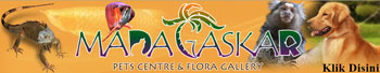 Madagaskar-PetCentre.Com