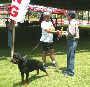 Liputan Bali Dog Show Exhibition