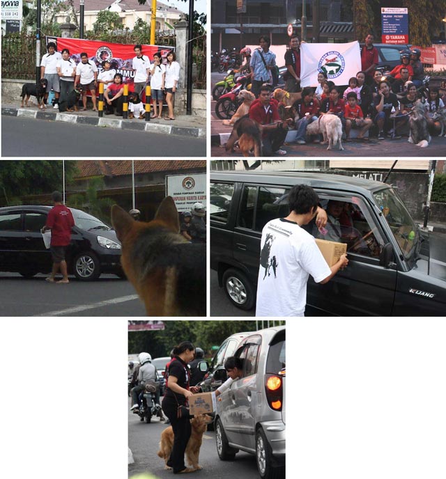 Penyayang Anjing Peduli Kemanusiaan