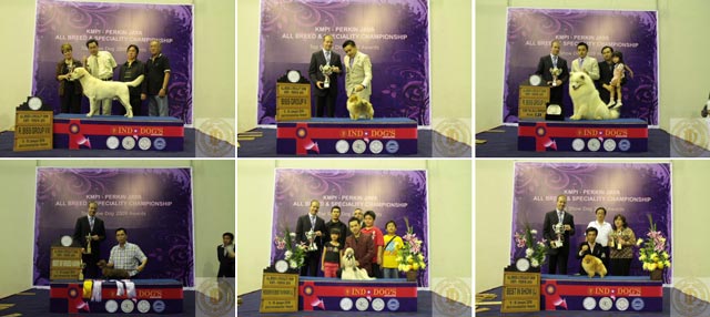 Liputan Pameran Indo Dog's, KMPI & Perkin Jaya