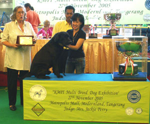 Labrador Retriever Of The Year 2005