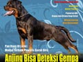 Dogfans News Edisi 101/November 2009