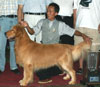 Encore Juara Umum Nasional PERKIN 2005