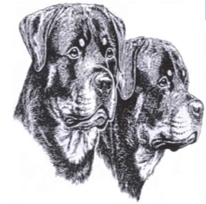 Pameran Trah Rottweiler KRI Jawa Barat