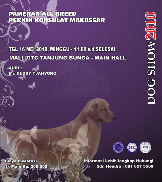 Pameran All Breed Perkin Konsulat Makassar