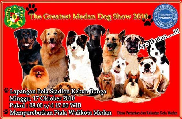 The Greatest Medan Dog Show 2010 (PINDAH LOKASI)
