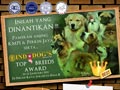 KMPI Dog Show & Top All Breed Indodog's