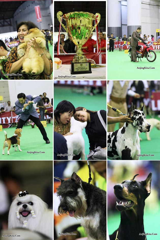 845 Foto Liputan Pameran KMPI & PERKIN Jaya 2011