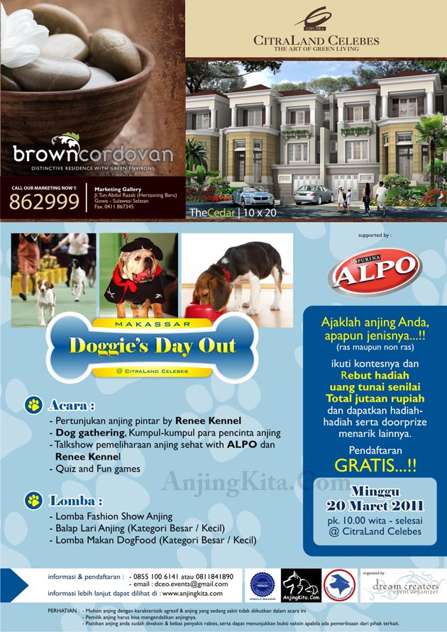 Doggie's Day Out - Makassar