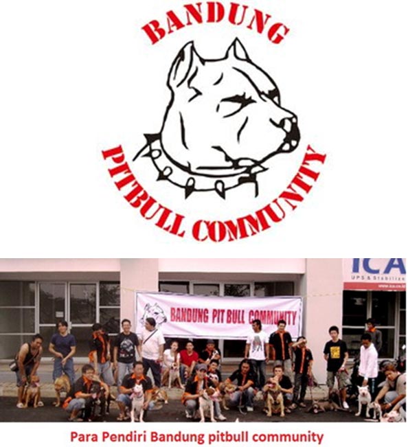 Bandung Pitbull Community