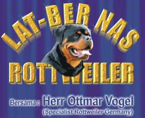 Latihan Bersama Nasional Rottweiler