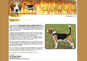 Ferlorch Beagles