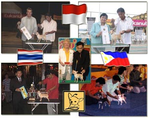 Anjing Lokal Pengharum Nama Bangsa