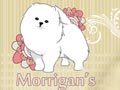 Morrigan's White Pomeranian Kennel