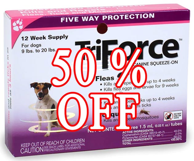 Promo Akhir Tahun, TRIFORCE 50% OFF