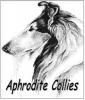 Aphrodite Collies
