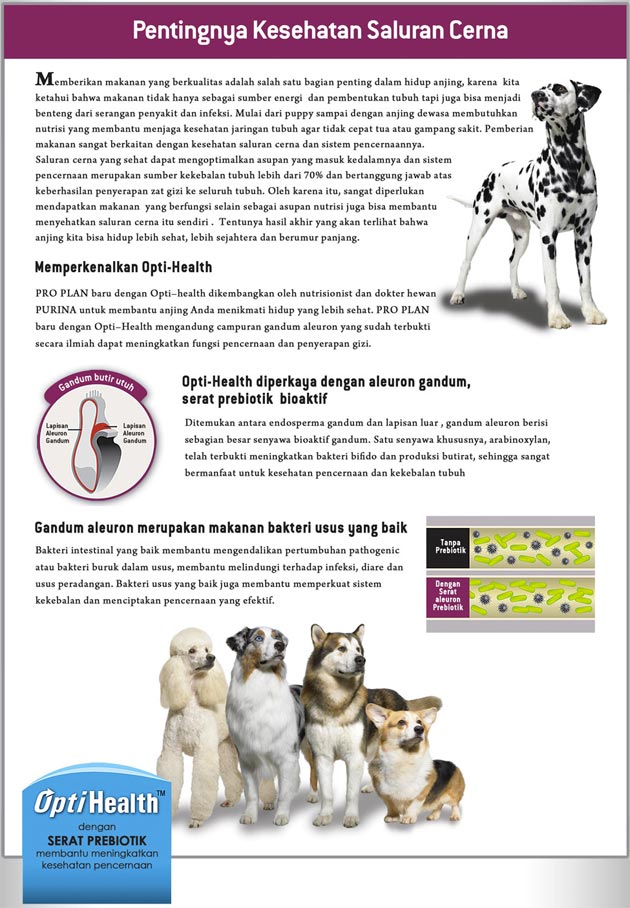 Pentingnya Kesehatan Saluran Cerna