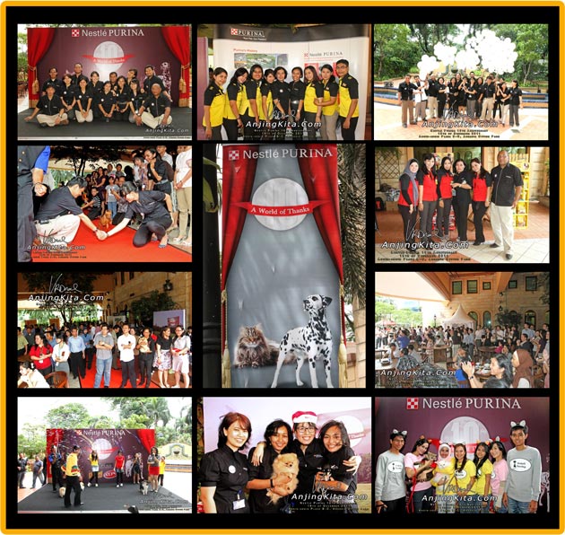 Nestle PURINA 10th Anniversary Celebration