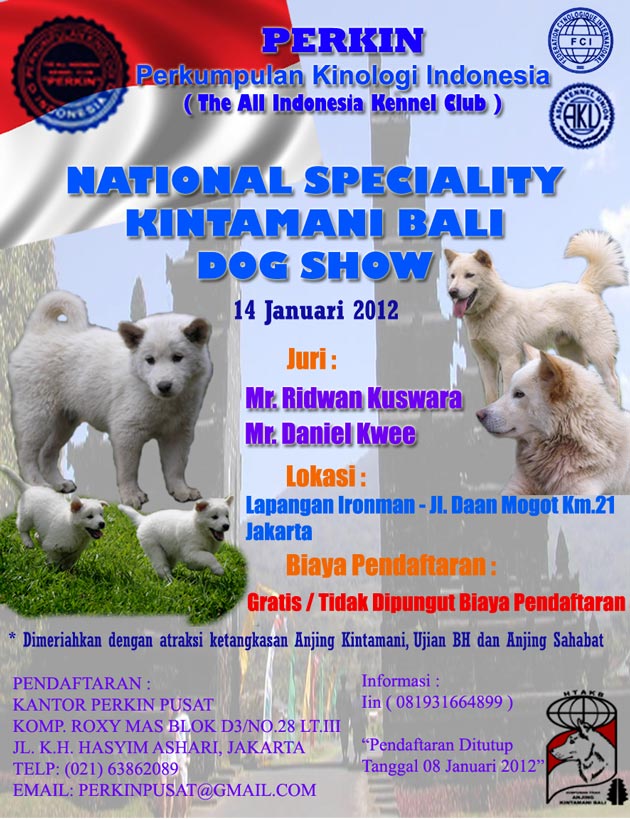 National Speciality Kintamani Bali Dog Show