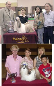 Multi BPIS.BJIG. Thai.CH Creative Jigsaw Puzzle