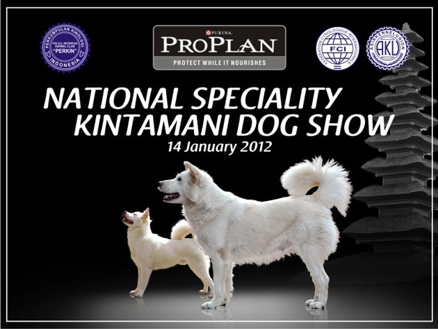 Pameran Nasional Anjing Kintamani Bali