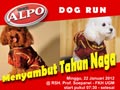 ALPO - DOG RUN 