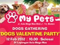 Dogs Valentine Party With My Pets
