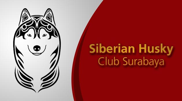 Gathering Husky Club Surabaya Yang Pertama