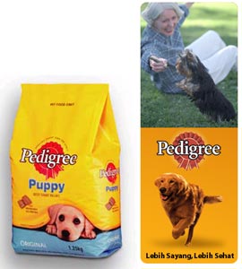 Pentingnya Mensosialisasikan Anjing Anda (3)