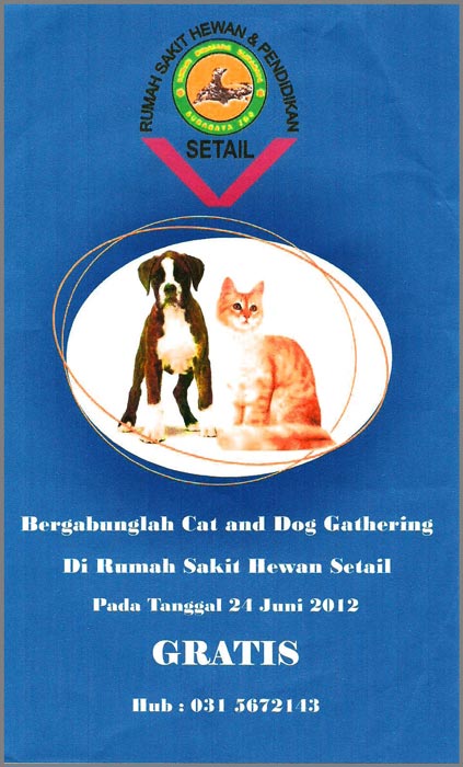 Gathering Dogs & Cats