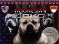 The 1st Indonesian ABKC Show 2012