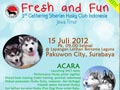 Fresh and Fun: Husky and Dog Lovers