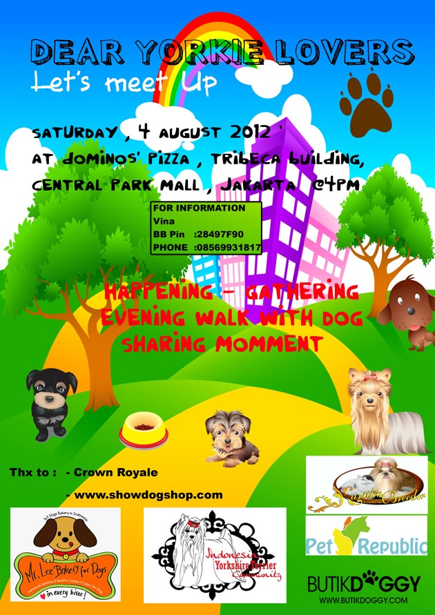 YORKIE LOVERS let's meet up!