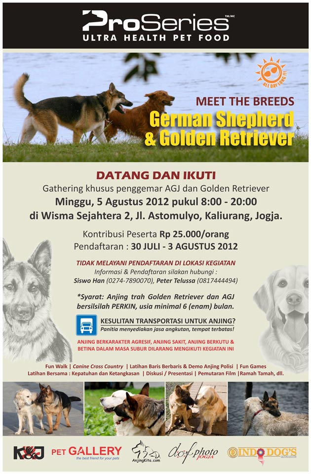 German Shepherd & Golden Retriever Gathering