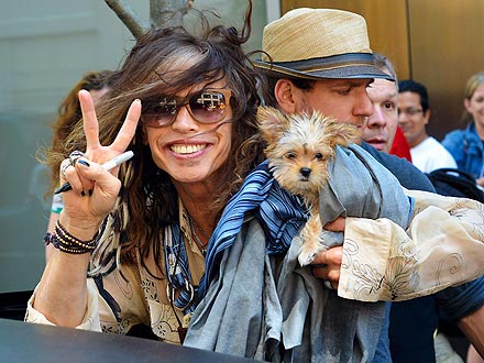 Anjing Jadi Sahabat Setia Steven Tyler