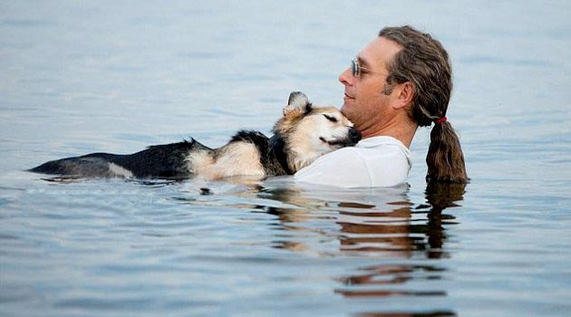 Foto Menyentuh Pria Peluk Anjing Raih Simpati Dunia  