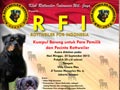 Rottweiler For Indonesia