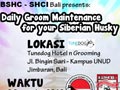 SHCI Bali 'Daily Groom Maintenance' @ Dewata Island