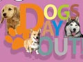 Dogs Day Out